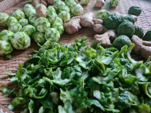 Massage oils aroma from Kaffir lime skin peel