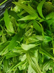 The herbal leaves used for extraction are chosen to be neither too old nor too young