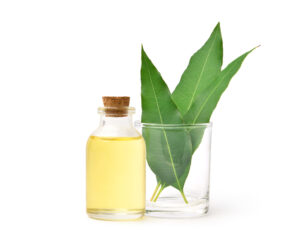 Natural Eucalyptus Essential Oil 