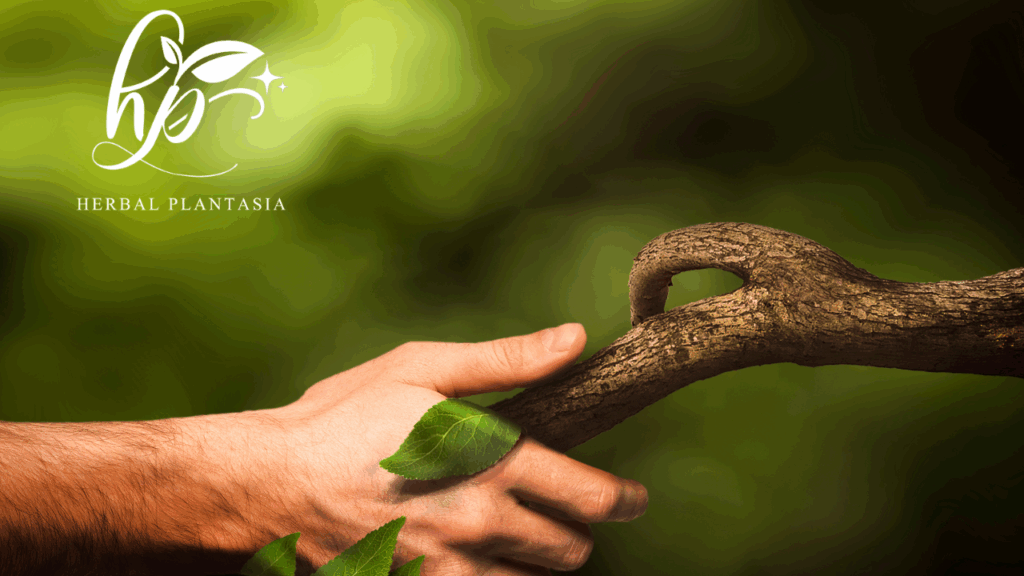 Safe with users & environment