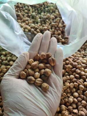 We carefully select and choose raw materials by hand to ensure cleanliness, safety, and the use of high-quality ingredients in our production process of Thai herbal inhalers.